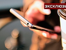 HR-эксперты рассказали, какой должностью компании завлекают зумеров