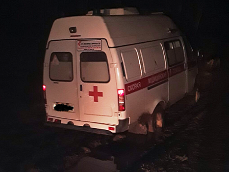 В Нижегородской области полицейские задержали подозреваемых в угоне автомобиля скорой помощи