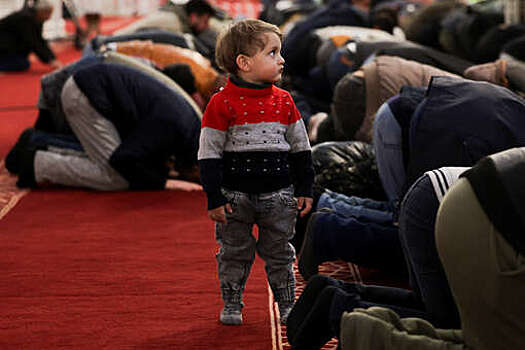 SOHR: cирийские силовики за два дня убили 340 мирных жителей