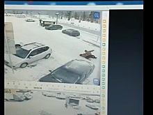 Жестокое убийство женщины в Подмосковье попало на видео