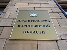 За год Воронежская область увеличила доходы бюджета на 8 млрд
