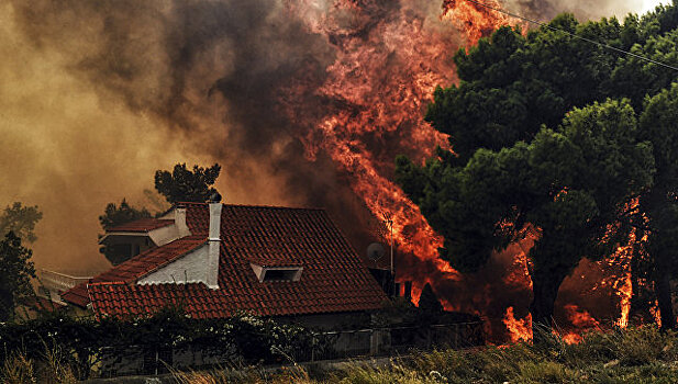 На греческом острове Эвбея начался сильный пожар