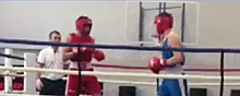 В сети появились кадры боя, после которого умер 14-летний боксёр в Первоуральске