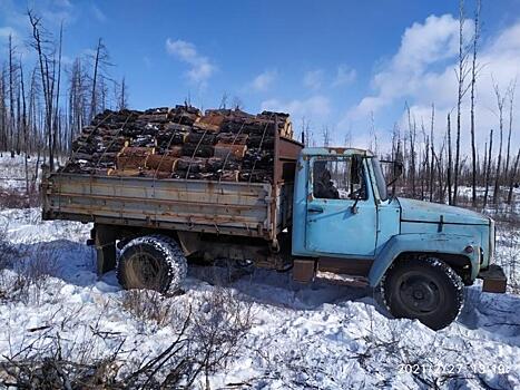 Нарушители за неделю срубили леса на 2,5 млн рублей в Забайкалье