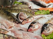 Россия сохранила запрет на импорт японской рыбы из-за «Фукусимы»