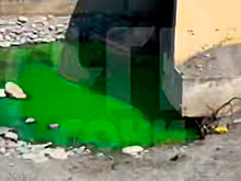 Зеленая жижа «из Марвел» в Сочи напугала туристов