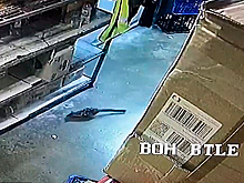 Агрессивного вымирающего хищника приняли за ночного грабителя алкомаркета