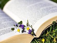 Детские книги раздадут в челябинском зоопарке перед летними каникулами