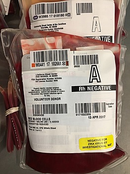 «Вампирскую технологию» переливания крови назвали мошенничеством в США
