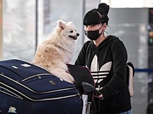 Россияне из 14 стран вернутся на родину в ближайшие дни