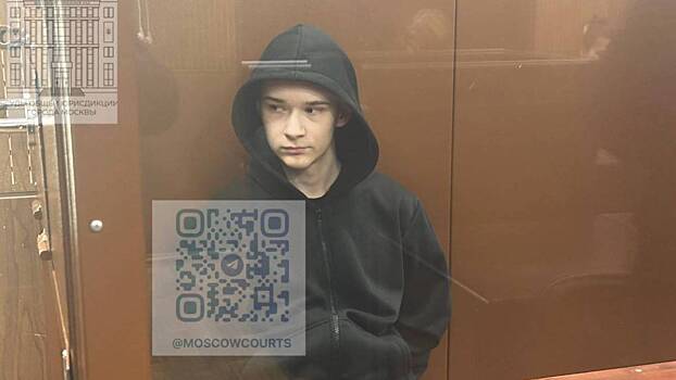 Мосгорсуд утвердил приговор сыну актера Демчога по делу о дропперстве