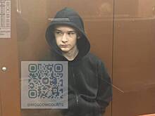 Мосгорсуд утвердил приговор сыну актера Демчога по делу о дропперстве