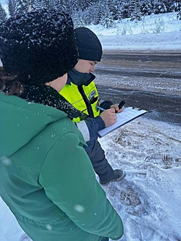 В Удмуртии за декабрь провели свыше 500 рейдов по охране новогодних елей