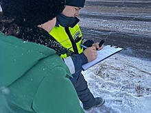 В Удмуртии за декабрь провели свыше 500 рейдов по охране новогодних елей