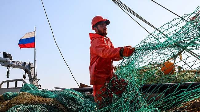 Досадно, но ладно: кому продадут российскую рыбу вместо Южной Кореи