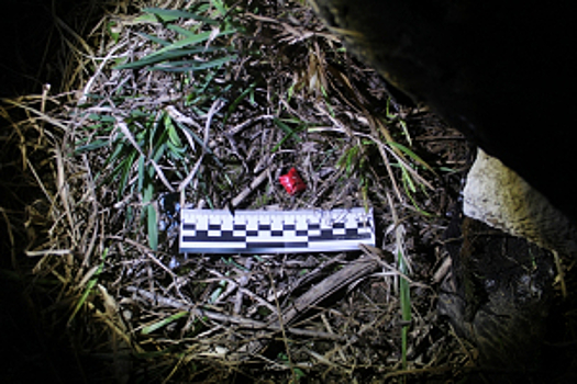 В Пермском крае огласили приговор участнику организованной группы, занимавшейся незаконным сбытом наркотических средств