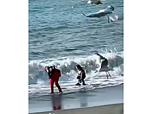 Позирующая в Черном море одетая девушка позабавила россиян