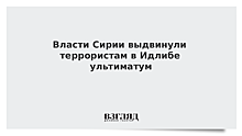 Власти Сирии выдвинули террористам в Идлибе ультиматум