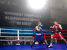 В Омске стартует чемпионат Сибири по боксу имени Малунцева