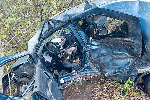 Под Ярославлем в ДТП два человека погибли, пятеро пострадали