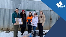 Еще порядка 40 кг корма передали активисты Волонтерского центра Вологды бездомным животным