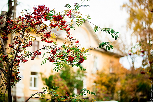Всю неделю в Калужской области будет аномально тепло