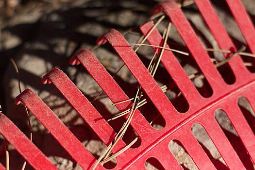 Глава управы Тимирязевского района обсудил с местными жителями планы на весенне-летний период