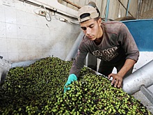 Мировые цены на оливковое масло рекордно выросли