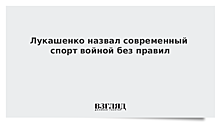 Лукашенко считает современный спорт войной без правил и политикой