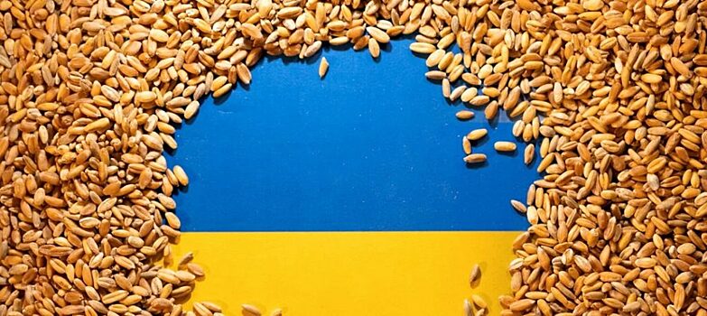 PL: в украинском зерне сальмонелла, ГМО, микотоксины, ртуть, железо и свинец