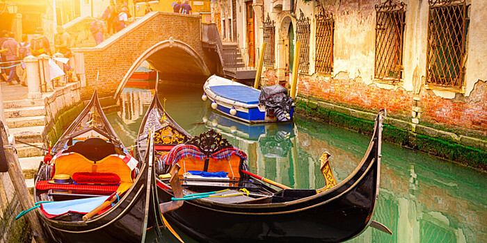 Полиция выяснила, почему Гранд-канал в Венеции стал ядовито-зеленым