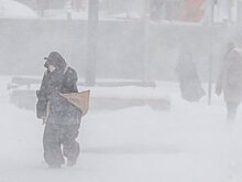 Юрист Кофанов: неожиданный снегопад может стать уважительной причиной опоздания на работу