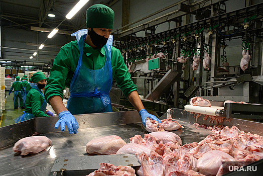 После вмешательства властей Рефтинской птицефабрике оставили свет