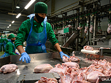 После вмешательства властей Рефтинской птицефабрике оставили свет