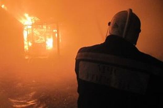Две хозяйственных постройки сгорели в Нижегородской области