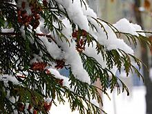 В Лианозове пройдет обход по Вологодскому проезду