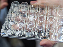 Иммунные клетки человека впервые вырастили в пробирке