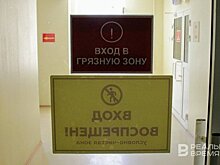 "Инфекция неуправляемая": в Татарстане выросла заболеваемость геморрагической лихорадкой с почечным синдромом