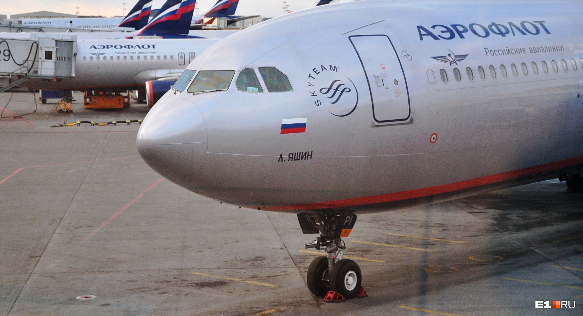 «Аэрофлот» изменит правила перевозки животных в салоне самолета с 14 февраля