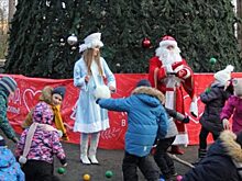 Самая большая ёлка на парковых территориях Красногорска открылась в экопарке «Губайловский»