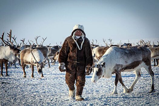 В Якутске пройдет съезд оленеводов России