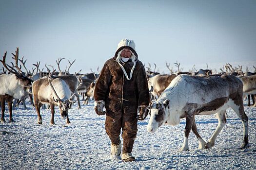 В развитие арктических и северных районов Якутии за год вложено 6 миллиардов рублей