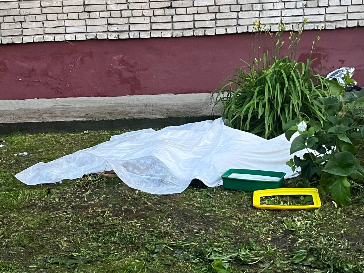В горящей пятиэтажке в Новосибирске погибло десять домашних животных