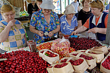 Названы самые полезные ягоды на рынке