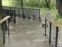 Яуза вышла из берегов в районе Отрадное