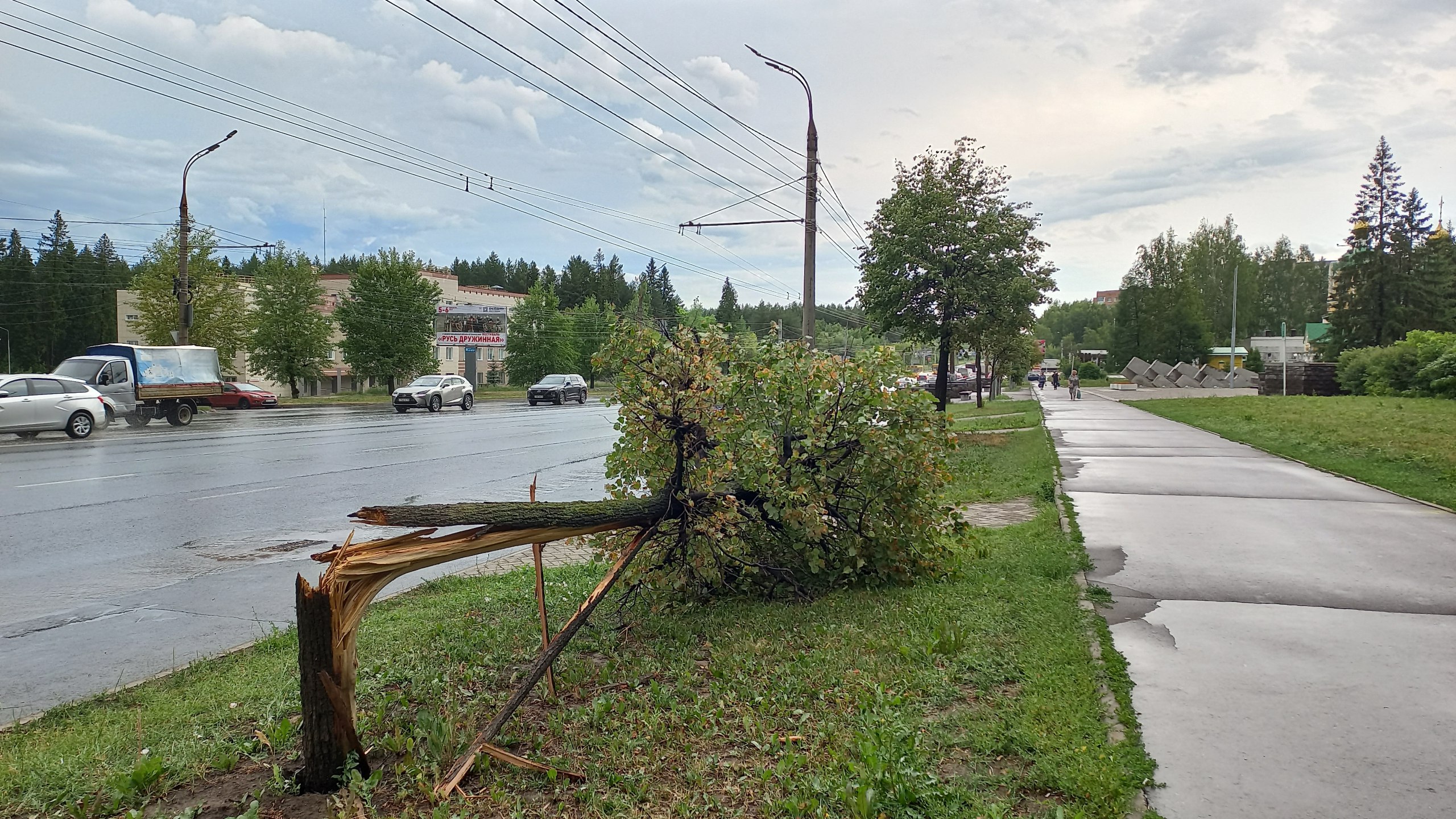В Ижевске ищут подрядчика на порубку аварийных деревьев вдоль дорог