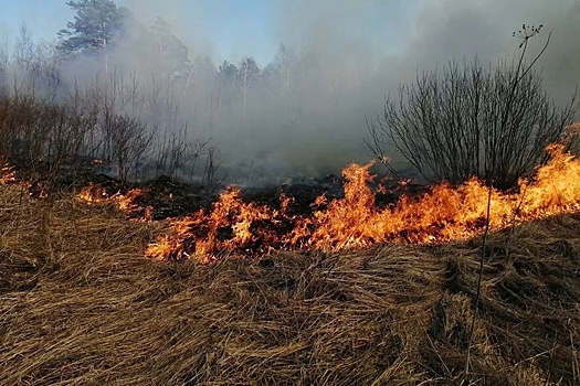 Губернатор Орловской области Андрей Клычков определился со временем старта пожароопасного сезона