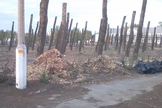 В Каменске-Уральском появился "парк-призрак" (ВИДЕО)