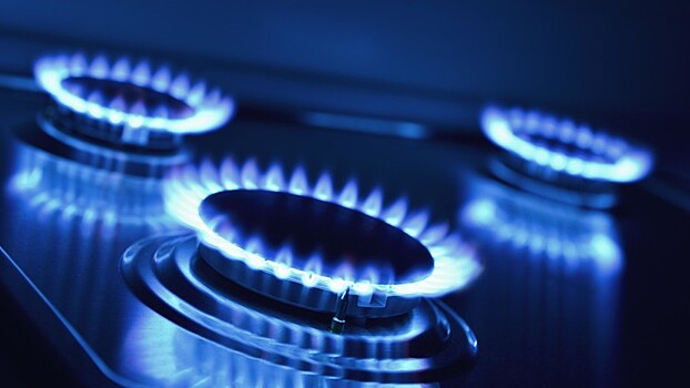 Минэнерго поддерживает внедрение в России «умных счётчиков» учёта газа