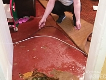 Суд обязал управляющую компанию компенсировать ущерб от потопа в курской квартире